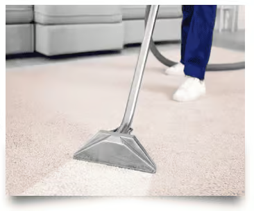 Caring pet care services