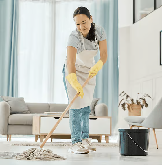 TopShineCleaning professional cleaner