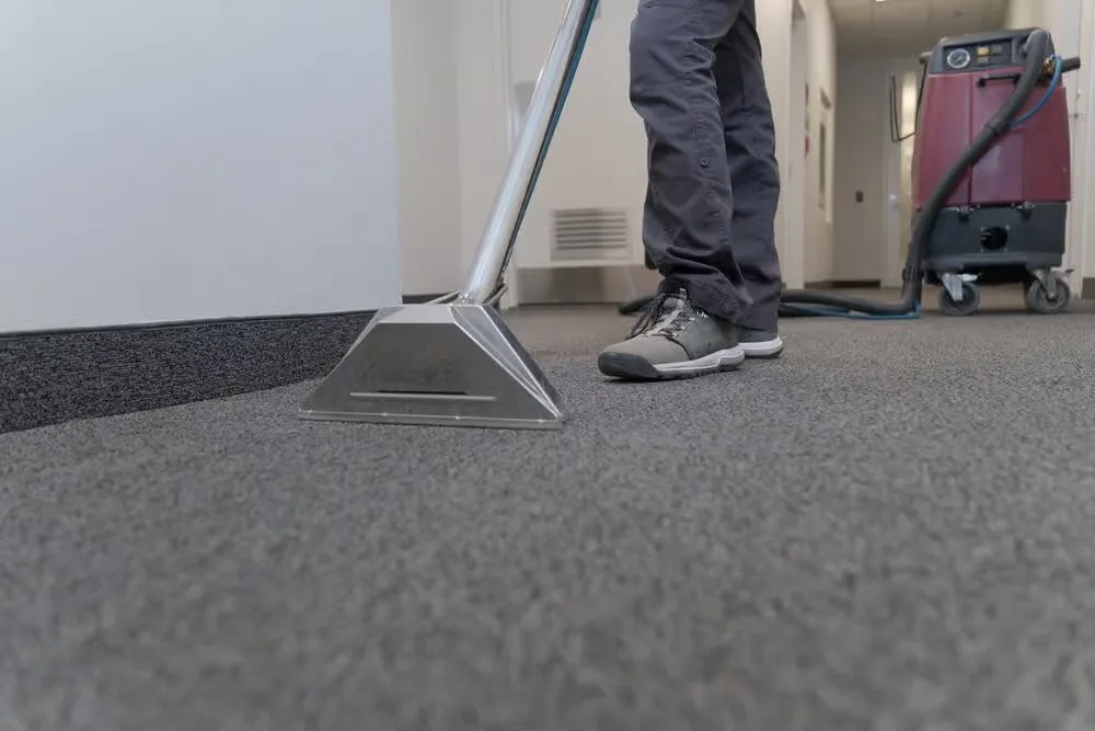 What Carpet Cleaning Services Are in High Demand Today?